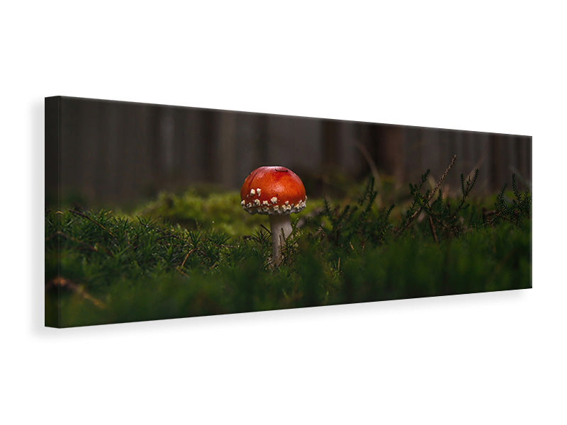 Leinwandbild Panorama Ein Pilz im Wald