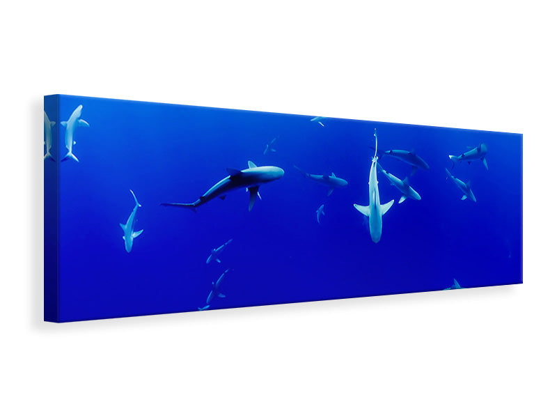 Leinwandbild Panorama Im Haifischbecken