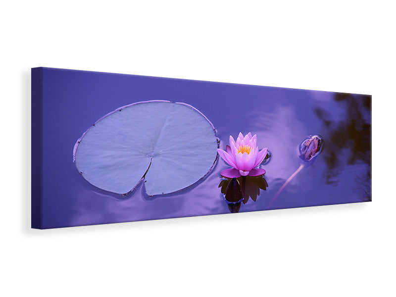 Leinwandbild Panorama Lotus Blüte