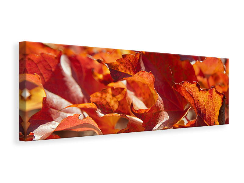 Leinwandbild Panorama Schönes Herbstlaub