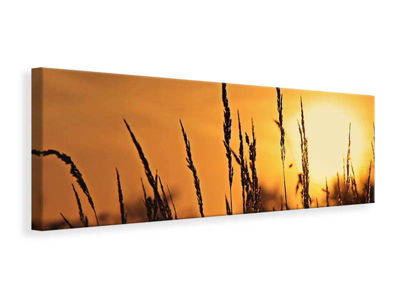 Leinwandbild Panorama Sonnenaufgang auf dem Feld