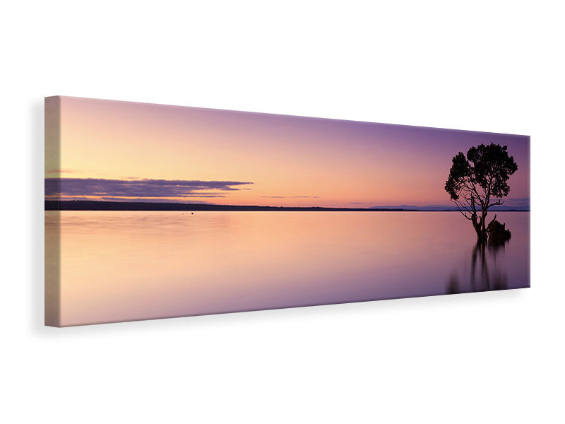 Leinwandbild Panorama Sonnenuntergang am Baum im Wasser