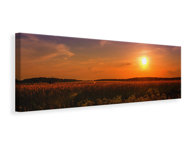 Leinwandbild Panorama Sonnenuntergang am Blumenfeld