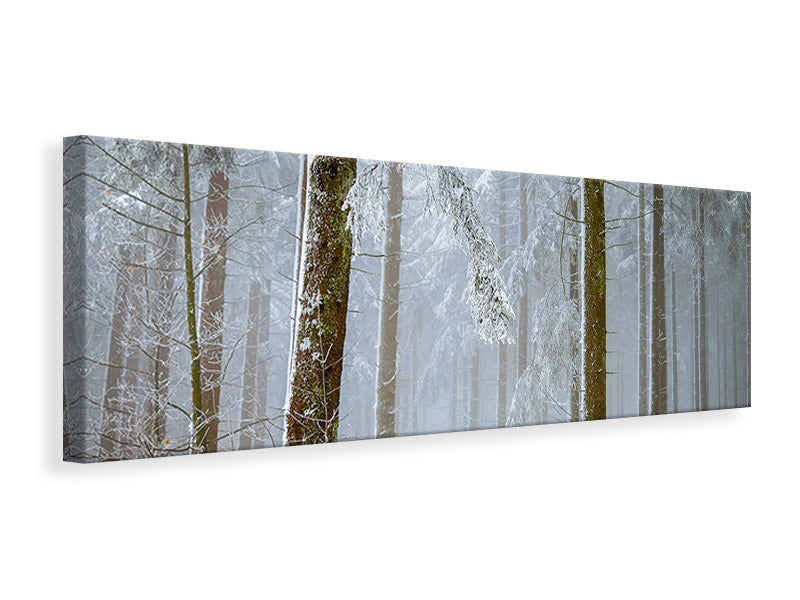 Leinwandbild Panorama Wald im Winter